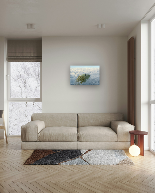 Un fort vent d'ouest